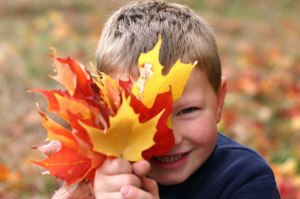 FallPicForSocialMedia-1