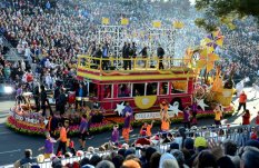 HairPoliceWebsiteChange1of2Pic#1